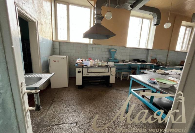 Продаж їдальні, два поверхи,634 к.м. вул. В.Зайцева, Цирк